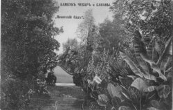 2.Никитский сад 1910-е гг..jpg