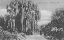 3.Никитский сад 1910-е гг..jpg