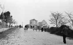 Разрушенный Вл.собор 1959.jpg