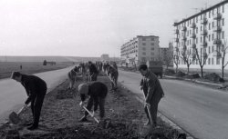 Проспект Генерала Острякова в Севастополе.jpg