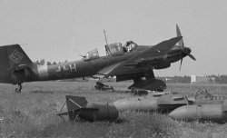 Ju-87 (11).jpg