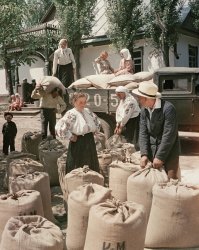 Выдача На Трудодни Украина (1950).jpg