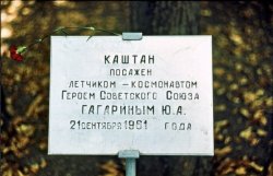 9. Малахов курган 1984.jpg